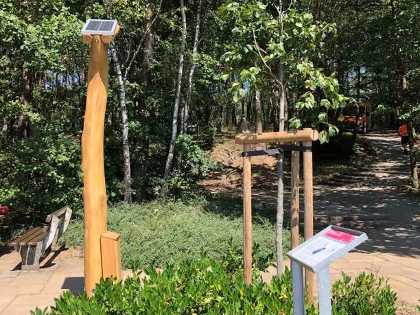 Hörstation Anna & Hermann in Hörstel Holzsäule mit Infotafel und Kopfhörern in einem Waldstück, umgeben von Bäumen und Gehweg.