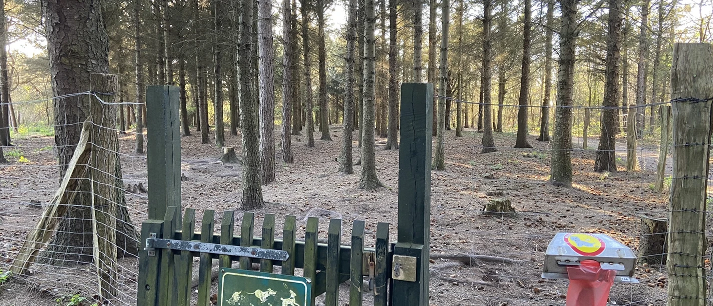 Hundeauslauffläche im Wald