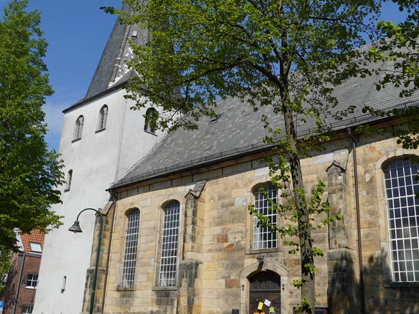 dsc00710 Historische Kirche aus hellem Sandstein mit hohem Turm und großen Fenstern zwischen Bäumen.