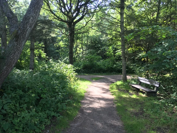 Südwäldchen Westerland