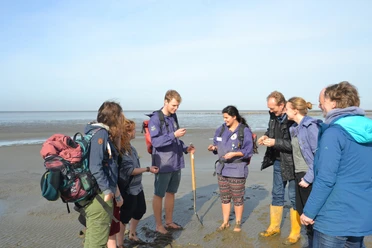 Schutzstation Wattenmeer