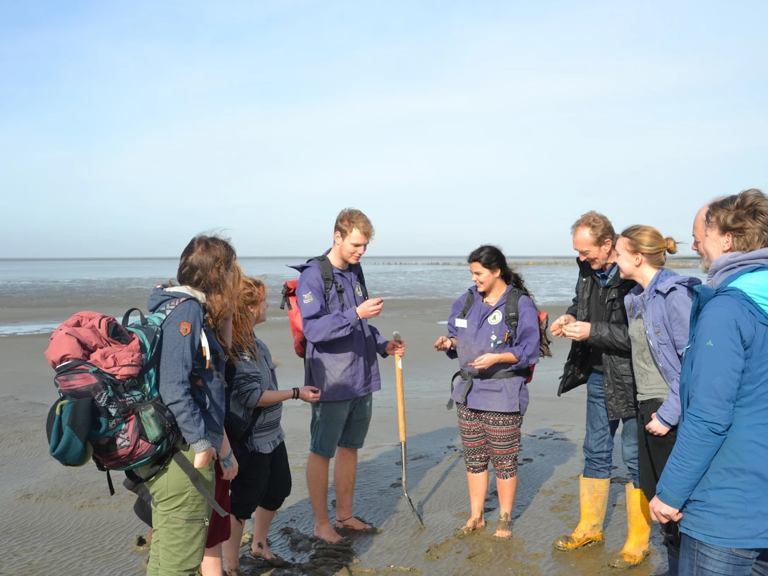 Schutzstation Wattenmeer