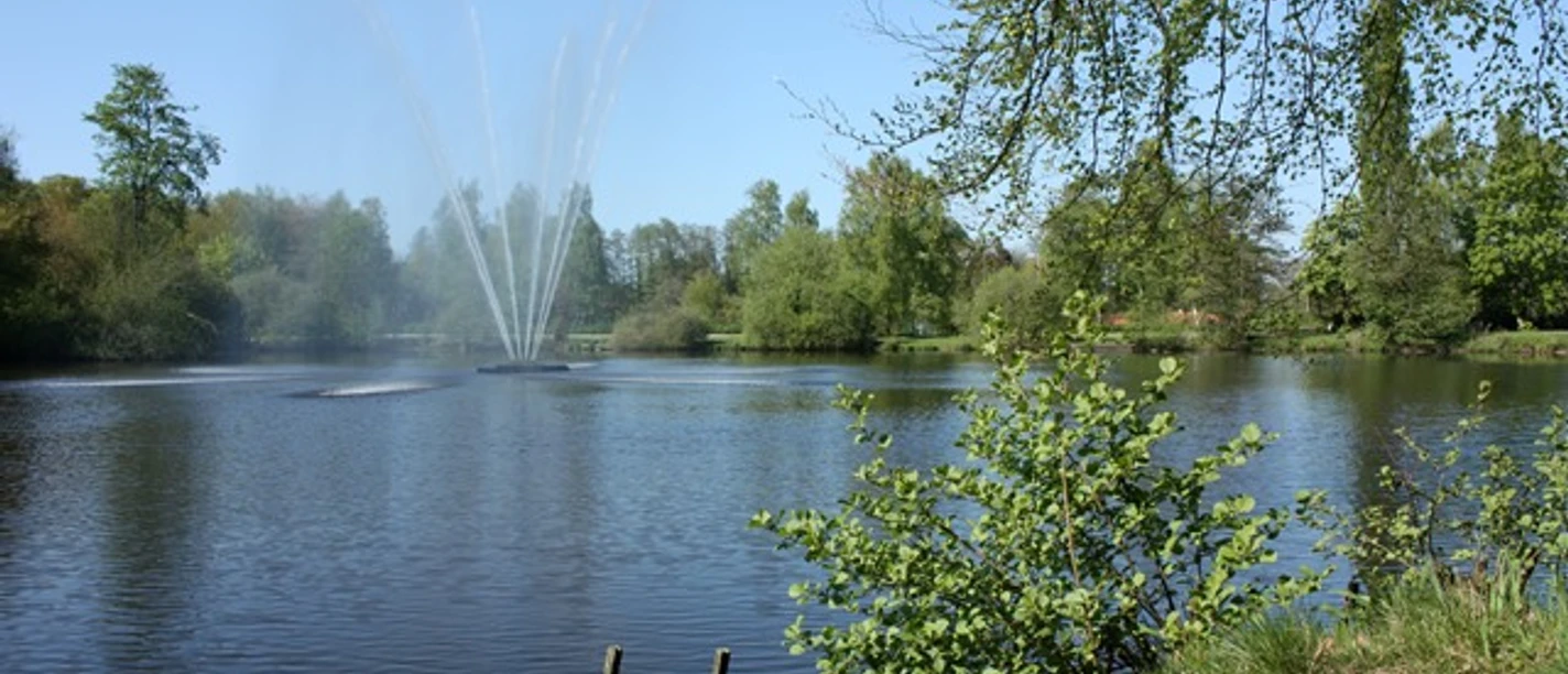 ellernteich-rastede See in idyllischer Parkanlage mit zentraler Fontäne, umgeben von Bäumen unter blauem Himmel.