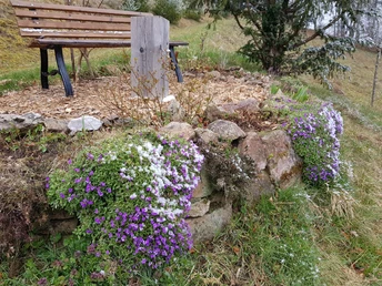 Sommerbergparadies Die Aussichtsbänke im Garten 2