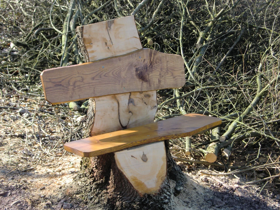 Blick nach Meilborssen Holzbank ohne Lehne, gefertigt aus einem Baumstamm, umgeben von kahlen Ästen auf einem erdigen Boden.