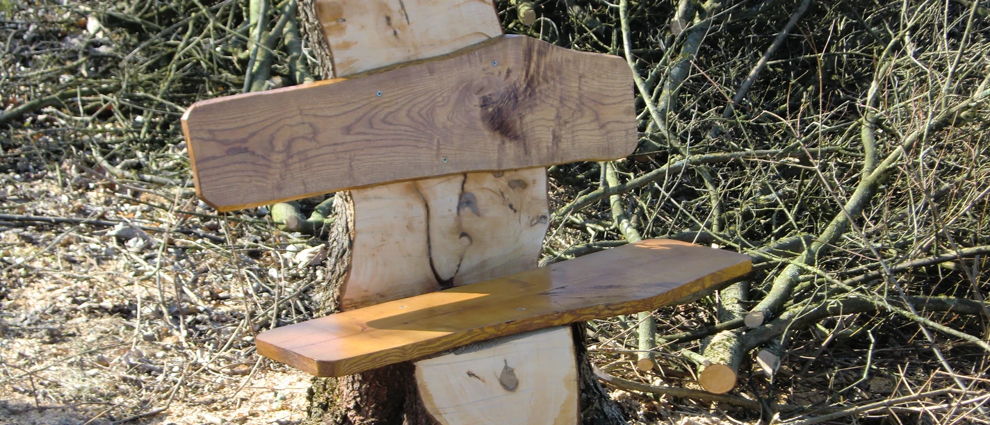 Blick nach Meilborssen Holzbank ohne Lehne, gefertigt aus einem Baumstamm, umgeben von kahlen Ästen auf einem erdigen Boden.