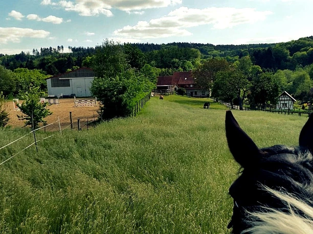 stall-huster_hofanlage_cc_stall-huster-hagen-atw