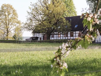 Biesterfeld Fachwerkhaus umgeben von grüner Wiese und blühenden Bäumen unter blauem Himmel im Hintergrund.