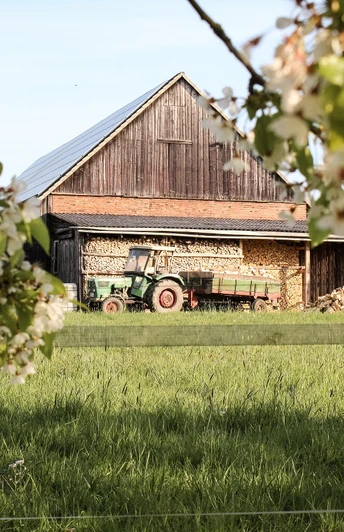 Biesterfeld Eine Scheune mit Holzverschalung, ein Traktor und blühende Zweige im Vordergrund auf einer Wiese.