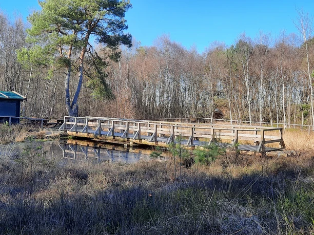GrafelderMoor-Berge-SGFuerstenau-osnabrueckerland
