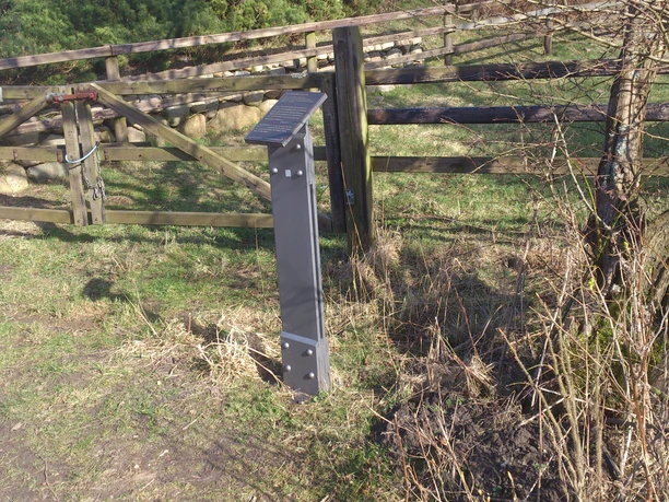 Kunststele Alexander Camaro