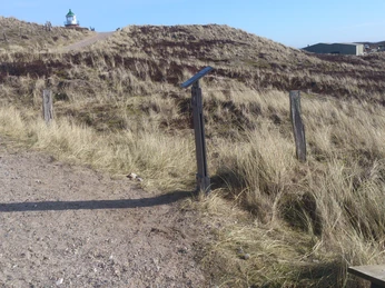 Kunststele Emil Nolde