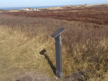 Kunststele Anita Rèe