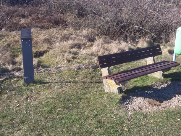 Kunststele Peter Suhrkamp