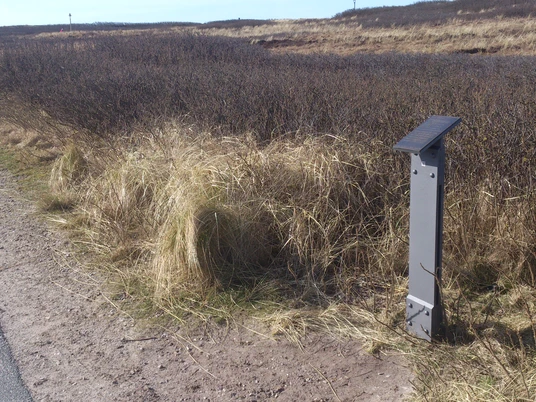 Kunststele Clara Tiedemann