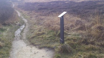 Kunststele Dr. Fritz Wichert