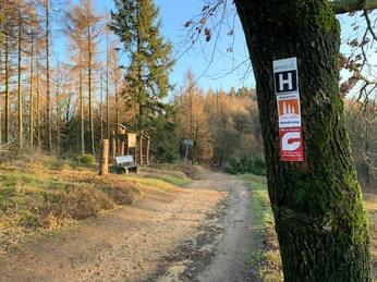 Hörstation am Hermannsweg in Steinhagen Waldweg mit Informationstafel der Hörstation am Hermannsweg in Steinhagen, umgeben von Bäumen.