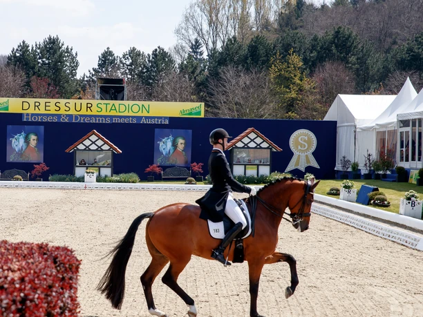 Dressurreiter auf braunem Pferd in Sandarena, im Hintergrund grüne Bäume.