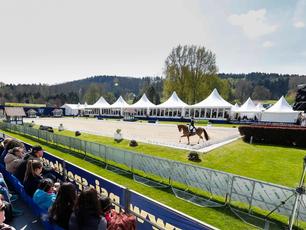 Paardenshow met toeschouwers, witte tenten op de achtergrond, paard en ruiter op een zandpiste.