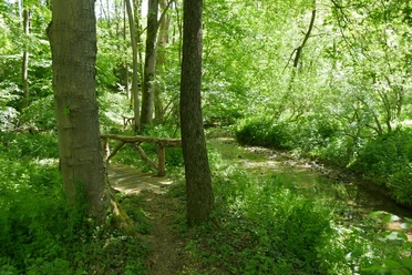 Traumhafter Weg entlang der Schelpe Grüner Waldweg entlang eines kleinen Baches mit einem rustikalen Holzgeländer, umgeben von dichter Vegetation.