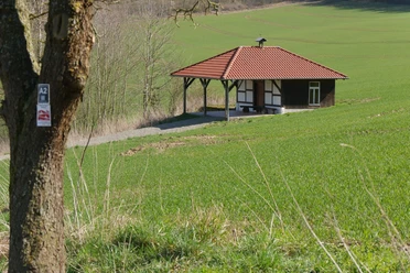Eine kleine Kapelle unter einem Baum steht inmitten einer weiten, grünen Wiesenlandschaft.