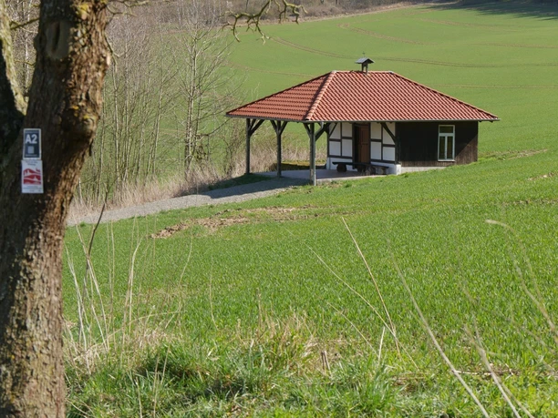 Eine kleine Kapelle unter einem Baum steht inmitten einer weiten, grünen Wiesenlandschaft.