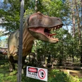 Ein lebensgroßer Dinosaurier steht hinter einem Elektrozaun in einem bewaldeten Areal im Dino-Park.A life-size dinosaur stands behind an electric fence in a wooded area in the Dino Park.En dinosaur i naturlig størrelse står bag et elektrisk hegn i et skovområde i Dino Park.Een levensgrote dinosaurus staat achter een elektrisch hek in een bebost gebied in het Dino Park.