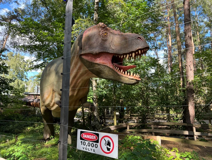 Ein lebensgroßer Dinosaurier steht hinter einem Elektrozaun in einem bewaldeten Areal im Dino-Park.A life-size dinosaur stands behind an electric fence in a wooded area in the Dino Park.En dinosaur i naturlig størrelse står bag et elektrisk hegn i et skovområde i Dino Park.Een levensgrote dinosaurus staat achter een elektrisch hek in een bebost gebied in het Dino Park.