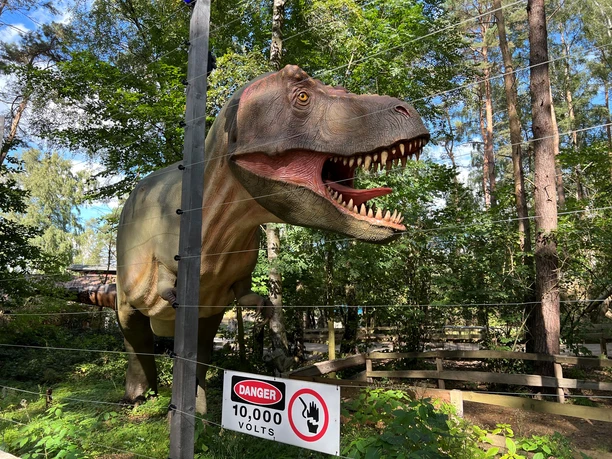 Dino-Park Münchehagen Ein lebensgroßer Dinosaurier steht hinter einem Elektrozaun in einem bewaldeten Areal im Dino-Park.