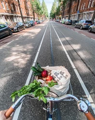 Sicht über einen Fahrradlenker in die Straße.jpg Fahrradansicht aus der Fahrerperspektive auf einer baumgesäumten Straße mit Einkaufstasche.