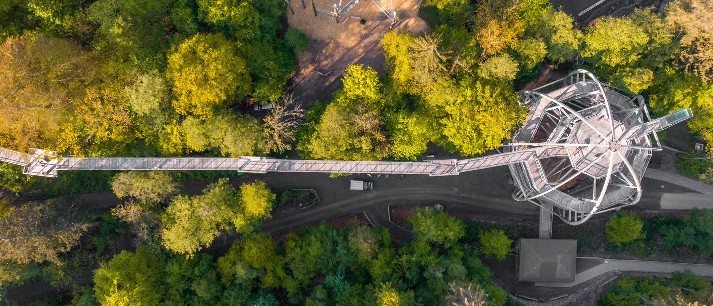 Baumwipfelpfad Harz Draufsicht
