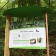 Baumwurzelpfad Infotafel