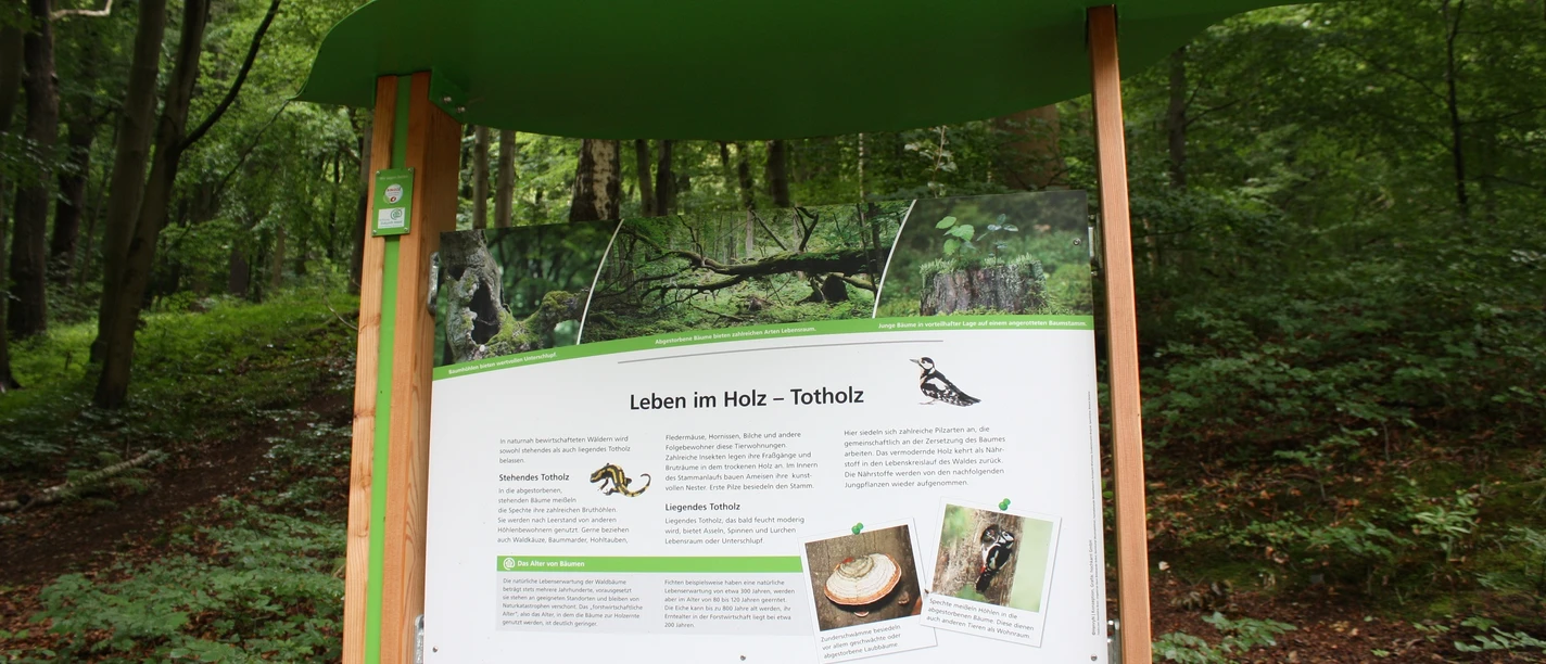 Baumwurzelpfad Infotafel