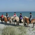 pension-und-reiterhof-seeberg-pferde-am-strand.jpg