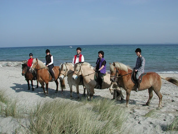 pension-und-reiterhof-seeberg-pferde-am-strand.jpg