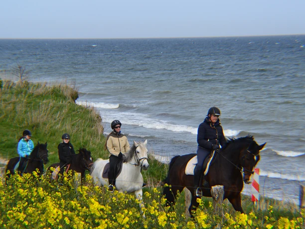 pension-und-reiterhof-seeberg-ausritt-langholz.jpg