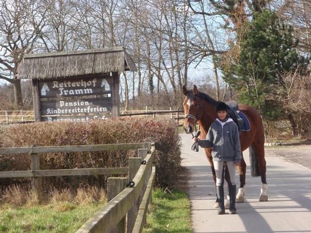 reiterhof-tramm-damp.jpg