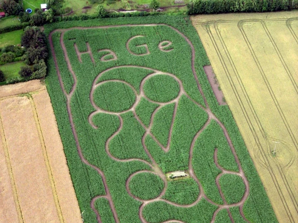maislabyrinth-gut-oestergaard.jpg