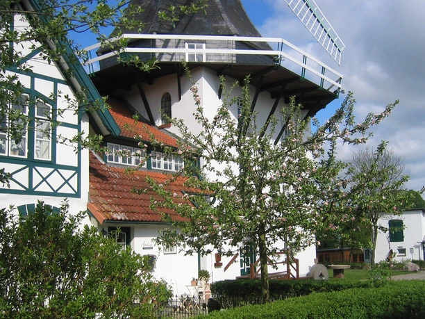 atelier-im-muehlenhaus-in-rieseby.jpg