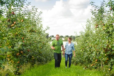 obsthof-gut-stubbe-obstbaeume.jpg
