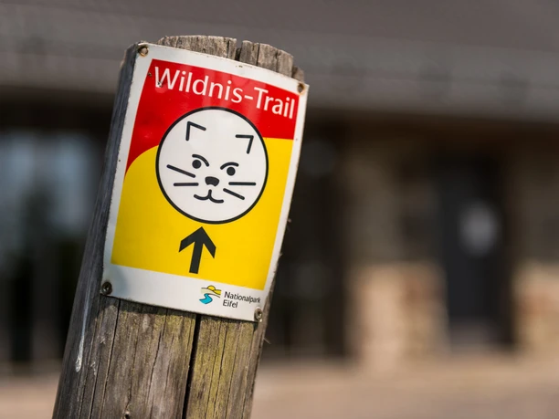 Wegmarkierung Wildnis-Trail im Nationalpark Eifel