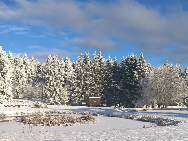 Teich im Winter Teich im Winter