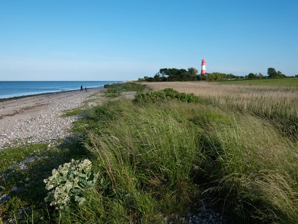 campingplatz-seehof-pommerby-ausblick-leuchtturm-falshoeft.jpg