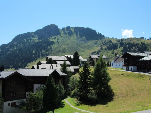 Aussicht vom Balkon im Sommer