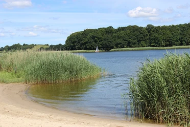 strand-goltoft.jpg