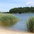 strand-goltoft.jpg