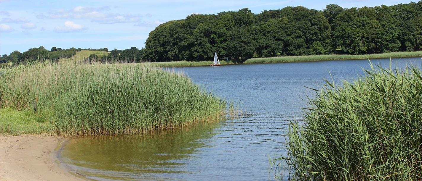 strand-goltoft.jpg
