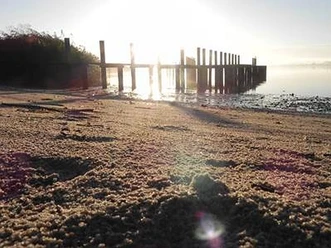 steg-koenigswiesen-an-der-schlei.jpg
