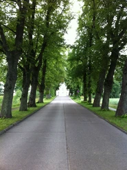 schlossallee-schloss-gottorf.jpg