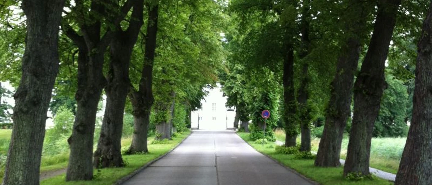 schlossallee-schloss-gottorf.jpg
